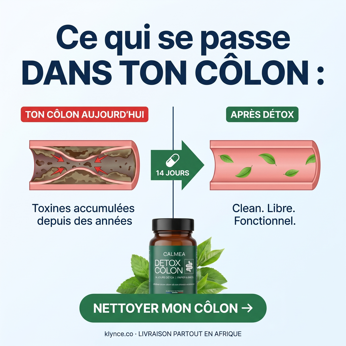 Detox Colon - Libérez votre côlon de ses toxines accumulées